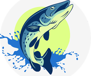 Ouverture de la saison de pêche le 14 mars et distribution des cartes