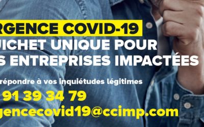 Entreprises et commerçants : la CCI vous accompagne (dossiers d’aides, Plan de solidarité, informations…)