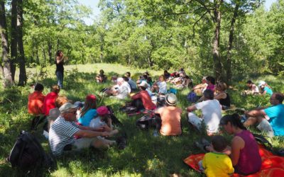 Randolades édition 2020 : balades virtuelles à écouter