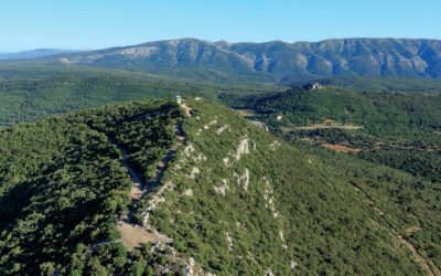 Natura 2000 : un juste équilibre entre environnement et développement