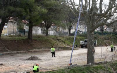 Des nouvelles plantations au théâtre de verdure