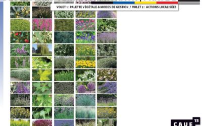 Gestion différenciée des espaces verts