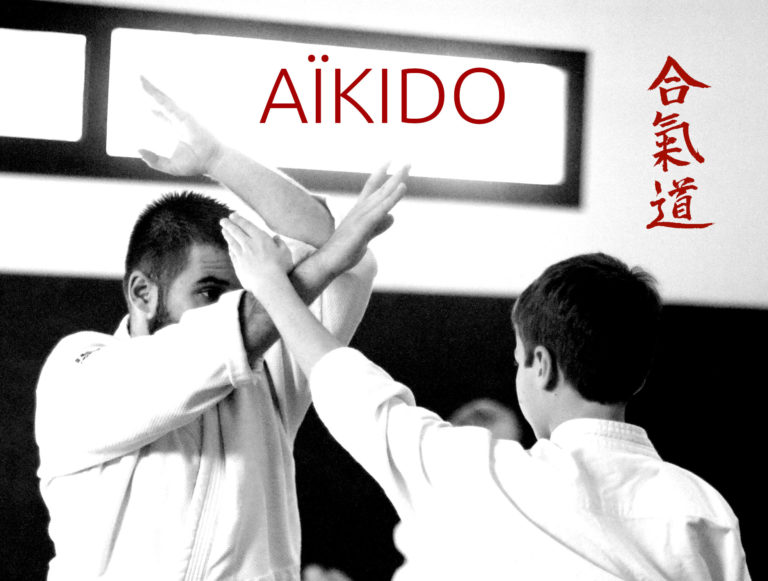 aikido 2 768x581
