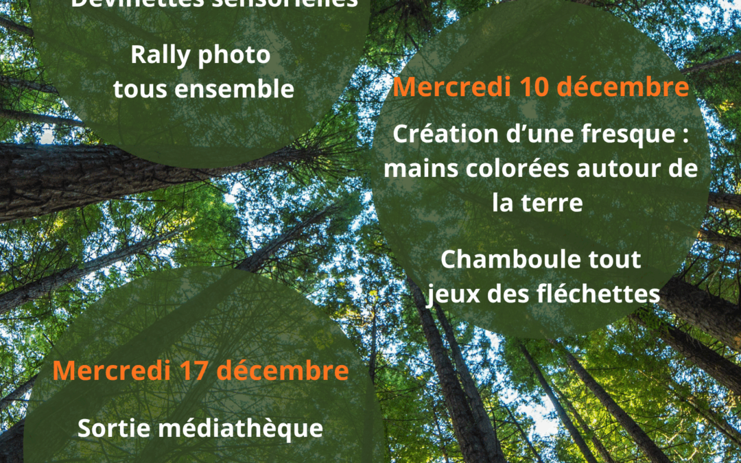 Planning des mercredis décembre maternelles