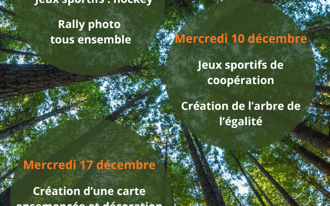 Planning des mercredis de décembre primaires