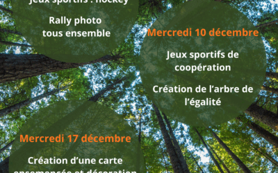 Planning des mercredis de décembre primaires