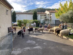 La ferme est venue au centre de loisirs !