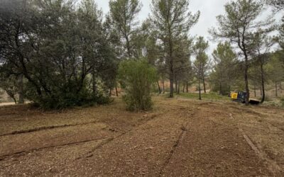 Travaux de débroussaillement et de mise en sécurité des forestiers-sapeurs en bordure la voie ferrée